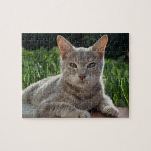 Cat Puzzle Legpuzzel