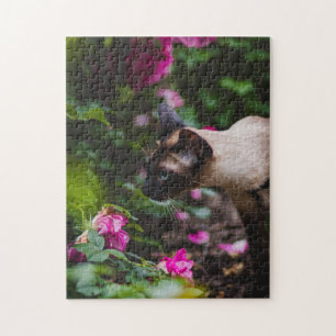 Cat Puzzles Cat Kitten Photography Animal Pic Cat Legpuzzel