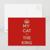 CAT-quote Briefkaart (Voorkant / Achterkant)