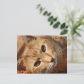 Cat quote briefkaart (Staand voorkant)