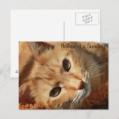 Cat quote briefkaart (Voorkant / Achterkant)