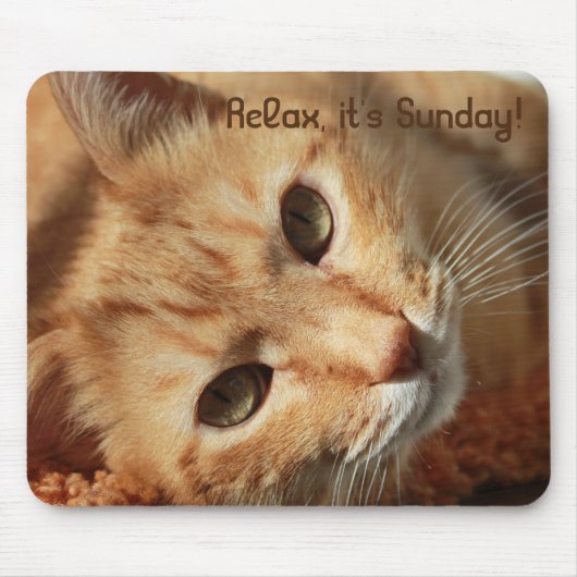 Cat quote muismat (Voorkant)