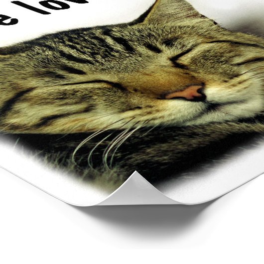 Cat quote poster (Hoek)