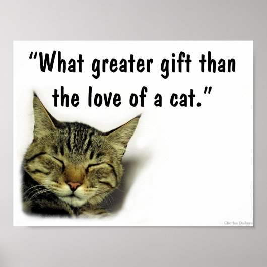 Cat quote poster (Voorkant)