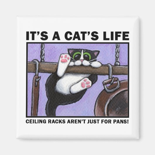 Cat Rack v.01 - C'est un Magnet de la vie d'un cha (Devant)
