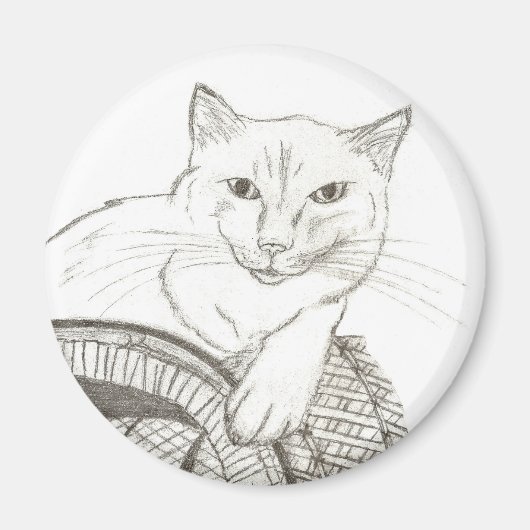 Cat Ragdoll Portrait Magnet (Devant)