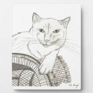 Cat Ragdoll Portrait Plaque Fotoplaat