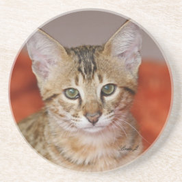Cat reeks-Serval Savannah Cat-Onderzetter Zandsteen Onderzetter