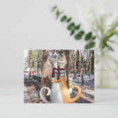 CAT ROMANCE BRIEFKAARTEN (Staand voorkant)