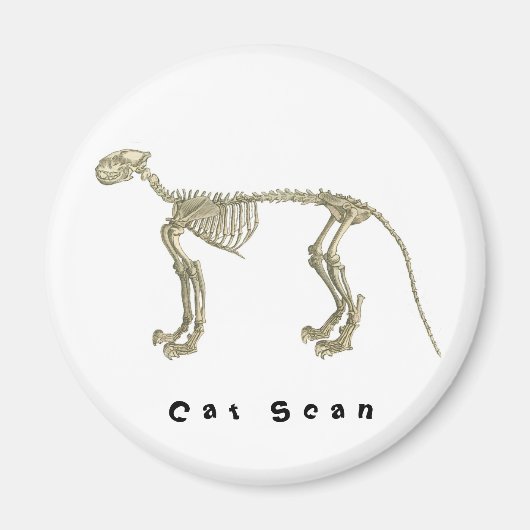 Cat Scan skeletmagneet Magneet (Voorkant)
