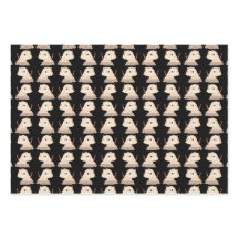 Cat- Schattigee yogakat