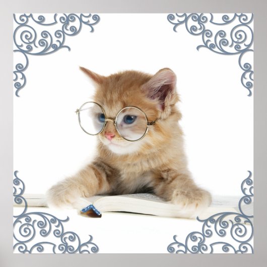 Cat Scholar Poster (Voorkant)