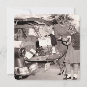 Cat Scout Cookies voor verkoop! Enkele wenskaart Kaart