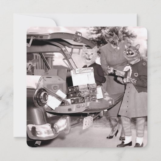 Cat Scout Cookies voor verkoop! Enkele wenskaart Kaart (Voorkant)