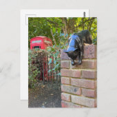 Cat Sculpture, London UK Briefkaart (Voorkant / Achterkant)