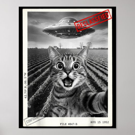Cat Selfie Ufo Alien Funny Surprised Cat Meme Men Poster (Voorkant)