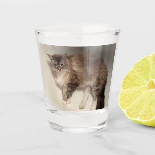 Cat Shot Glass Glas (Voorkant)