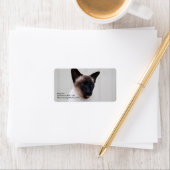 Cat Siamese Portrait Etiket (Insitu)
