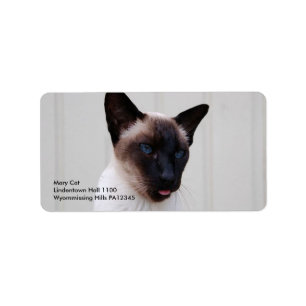 Cat Siamese Portrait Etiket