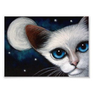 CAT SIAMOIS 7" x 5", de papier de photo de Kod