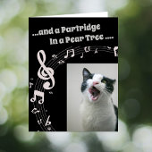 Cat SINGING Humor Song 2 Christmas Card Feestdagen Kaart