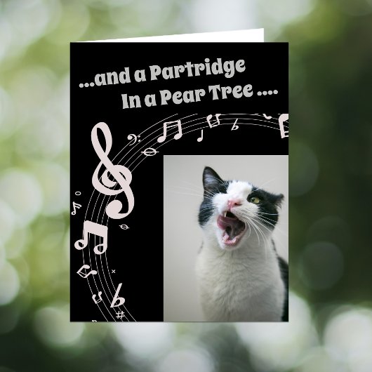 Cat SINGING Humor Song 2 Christmas Card Feestdagen Kaart