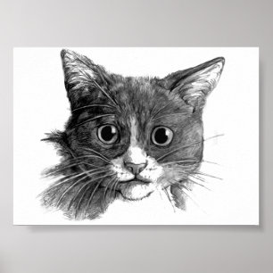 Cat Sketch Poster