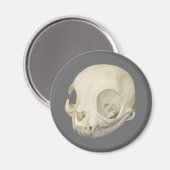 Cat Skull Magnet Magneet (Voorkant / Achterkant)