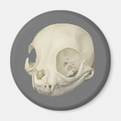 Cat Skull Magnet Magneet (Voorkant)