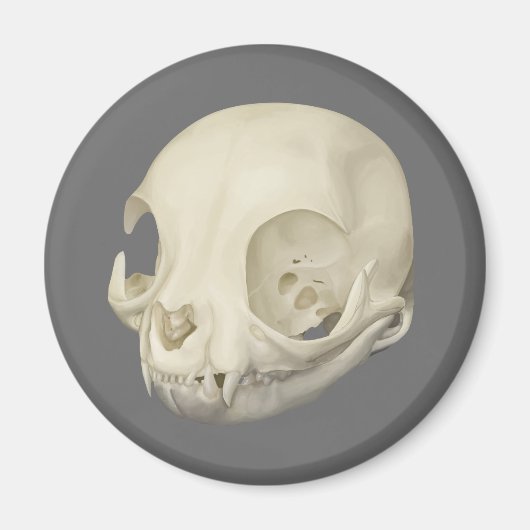 Cat Skull Magnet Magneet (Voorkant)