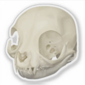 Cat Skull Sticker (Voorkant)