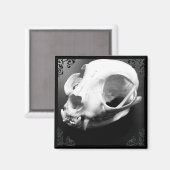 Cat Skull Taxidermy Gothic magnet Magneet (Voorkant / Achterkant)