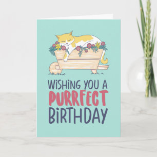 Cat Slaping Funny Cat Lover Purrfect Birthday Kaart