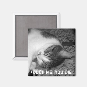 Cat Sleeping Crabby Cat Magnet
