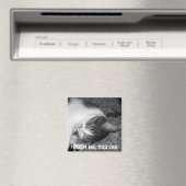 Cat Sleeping Crabby Cat Magnet (In Situ (Lave-vaisselle))