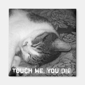 Cat Sleeping Crabby Cat Magnet (Devant)