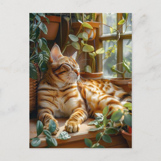 Cat Sleeping on Window Sill Among Flower Vines Briefkaart (Voorkant)