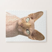 Cat Sphynx Portrait Legpuzzel (Horizontaal)