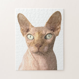 Cat Sphynx Portrait Legpuzzel