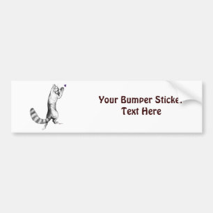 Cat Springings Bumpersticker