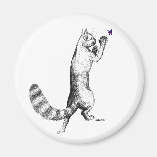 Cat Springings Magneet (Voorkant)