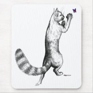 Cat Springings Muismat