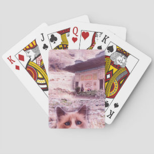 Cat Stare Classic Speelkaarten