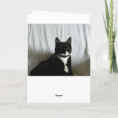 Cat Stare Down Verjaardag Kaart (Achterkant)