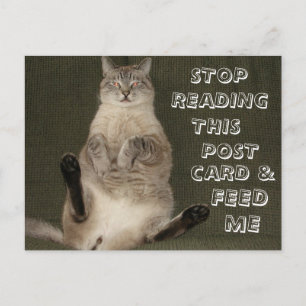 Cat "Stop met lezen Briefkaart & Feed Me" Briefkaa