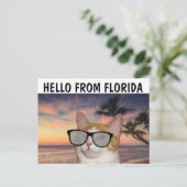 CAT SUR LA PLAGE BONJOUR DE FLORIDE Cartes postale (Debout devant)