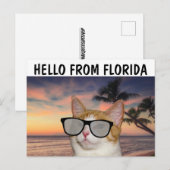 CAT SUR LA PLAGE BONJOUR DE FLORIDE Cartes postale (Devant / Derrière)