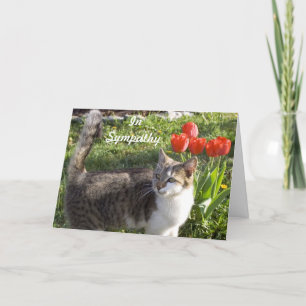 Cat Sympathie met Rode Tulpen Kaart
