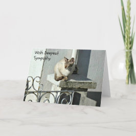 Cat Sympathy Card met grijze en witte kat Kaart