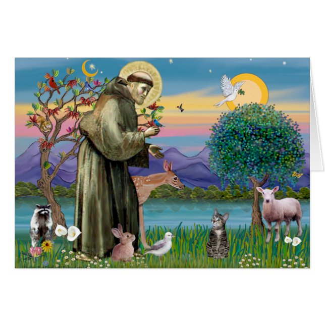 Cat (Tabby 2) - Saint Francis (Voorkant Horizontaal)